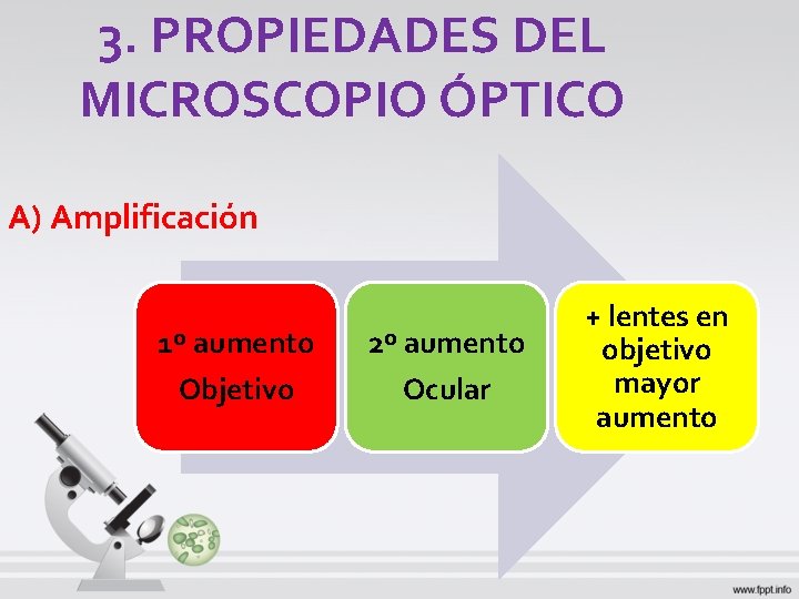 3. PROPIEDADES DEL MICROSCOPIO ÓPTICO A) Amplificación 1º aumento Objetivo 2º aumento Ocular + 3. PROPIEDADES DEL MICROSCOPIO ÓPTICO A) Amplificación 1º aumento Objetivo 2º aumento Ocular +