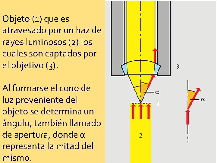 Objeto (1) que es atravesado por un haz de rayos luminosos (2) los cuales Objeto (1) que es atravesado por un haz de rayos luminosos (2) los cuales