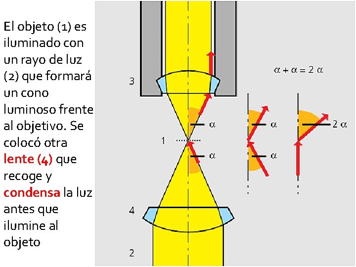El objeto (1) es iluminado con un rayo de luz (2) que formará un El objeto (1) es iluminado con un rayo de luz (2) que formará un