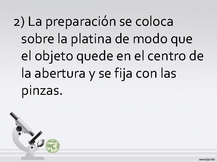 2) La preparación se coloca sobre la platina de modo que el objeto quede 2) La preparación se coloca sobre la platina de modo que el objeto quede