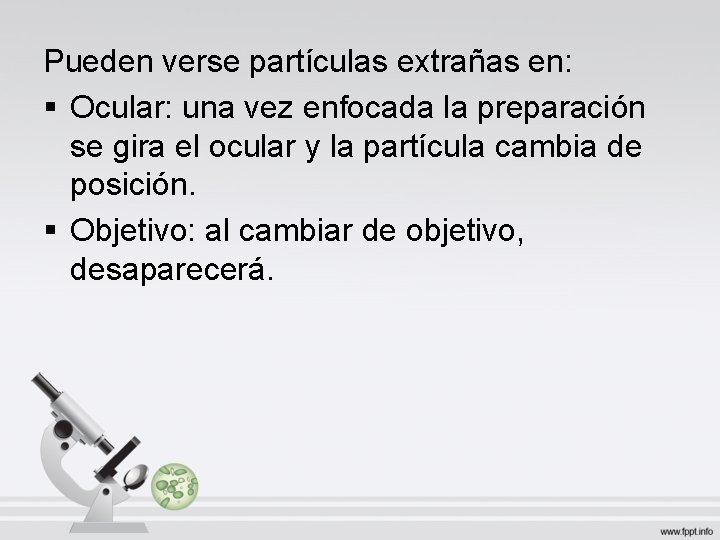 Pueden verse partículas extrañas en: § Ocular: una vez enfocada la preparación se gira Pueden verse partículas extrañas en: § Ocular: una vez enfocada la preparación se gira