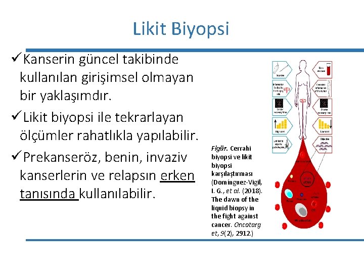 Likit Biyopsi üKanserin güncel takibinde kullanılan girişimsel olmayan bir yaklaşımdır. üLikit biyopsi ile tekrarlayan