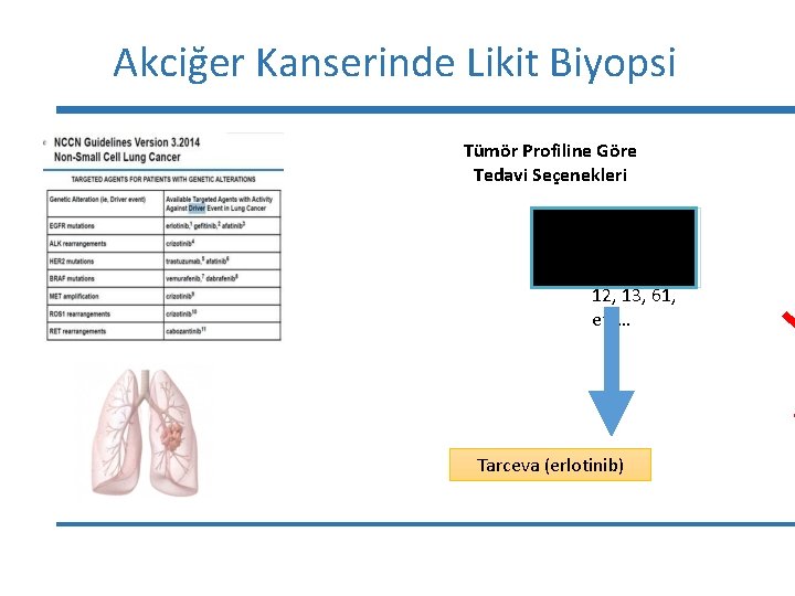 Akciğer Kanserinde Likit Biyopsi Tümör Profiline Göre Tedavi Seçenekleri • EGFR exon 18, •