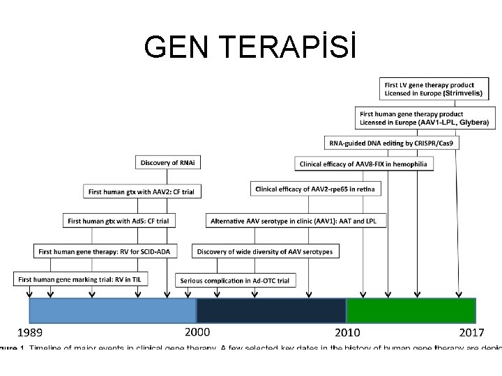 GEN TERAPİSİ 
