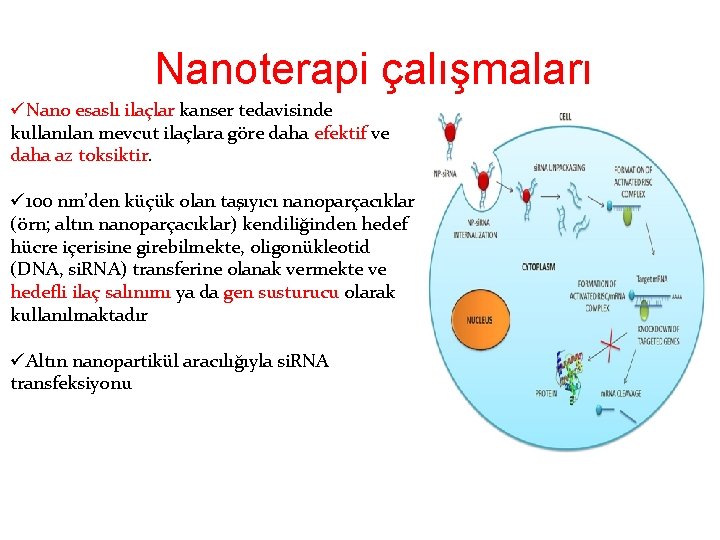 Nanoterapi çalışmaları üNano esaslı ilaçlar kanser tedavisinde kullanılan mevcut ilaçlara göre daha efektif ve
