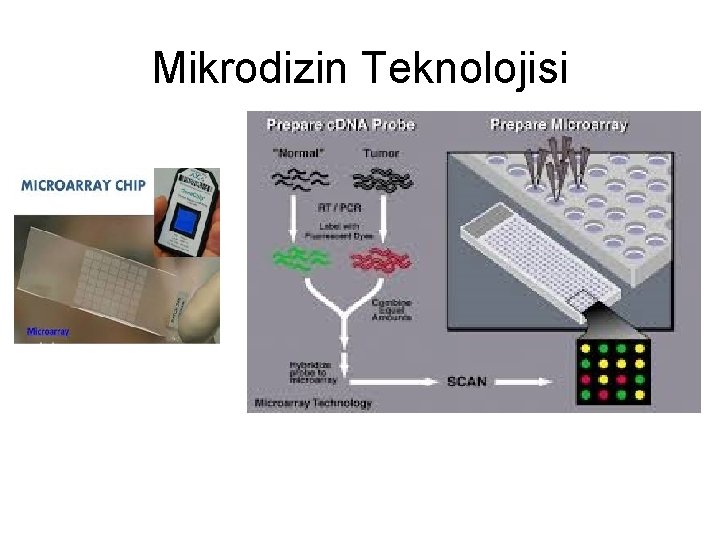 Mikrodizin Teknolojisi 