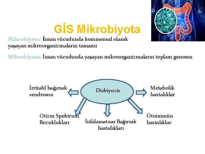 GİS Mikrobiyota: İnsan vücudunda kommensal olarak yaşayan mikroorganizmaların tamam 1 Mikrobiyom: İnsan vücudunda yaşayan