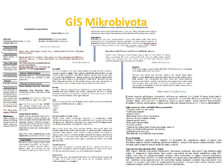 GİS Mikrobiyota 