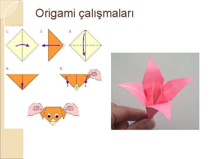 Origami çalışmaları 