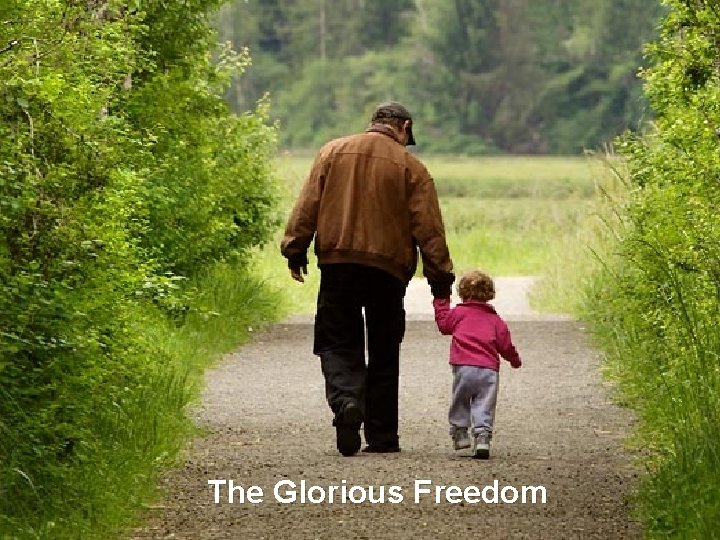 The Glorious Freedom The Father’s Love 