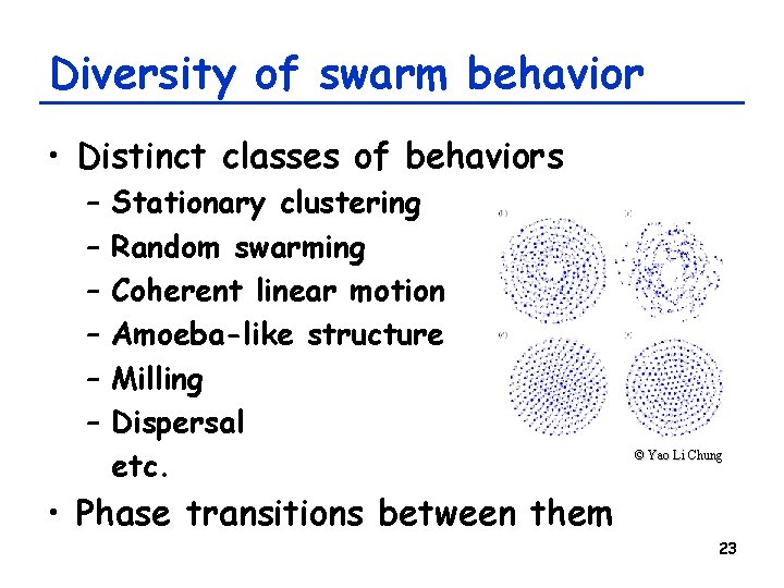 Diversity of swarm behavior • Distinct classes of behaviors – – – Stationary clustering