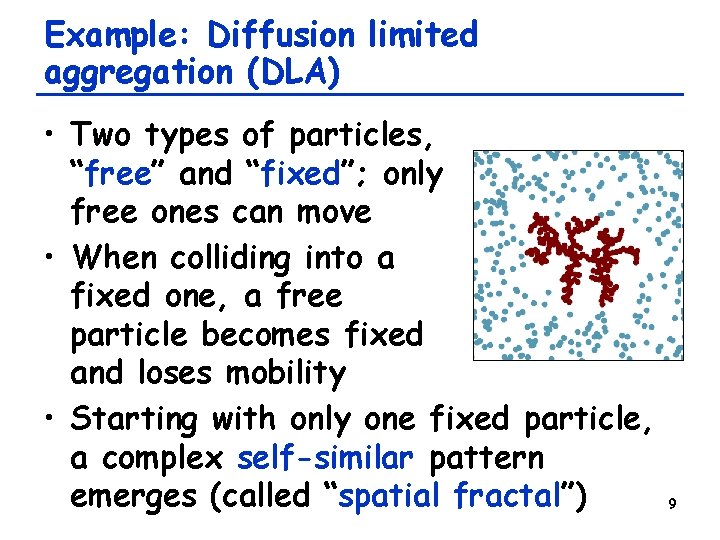 Example: Diffusion limited aggregation (DLA) • Two types of particles, “free” and “fixed”; only