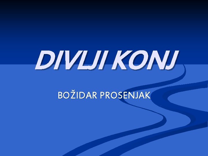 DIVLJI KONJ BOŽIDAR PROSENJAK 