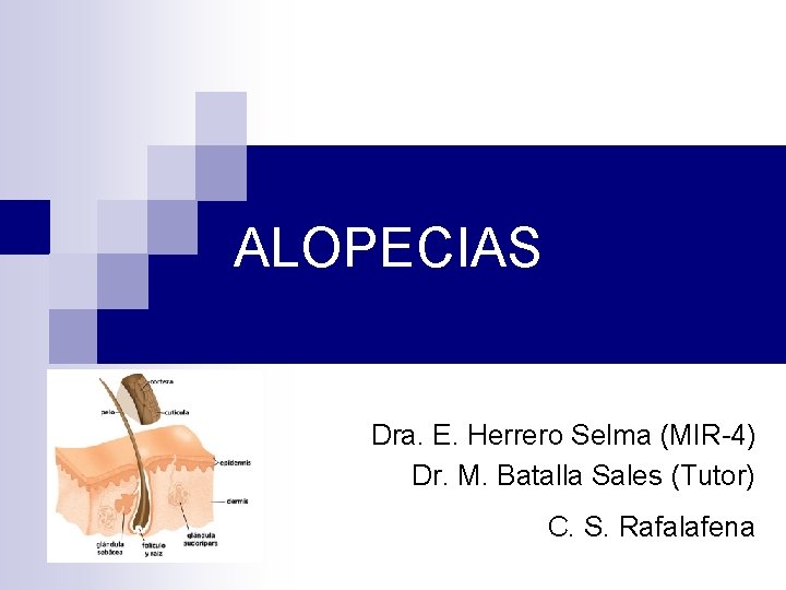 ALOPECIAS Dra. E. Herrero Selma (MIR-4) Dr. M. Batalla Sales (Tutor) C. S. Rafalafena