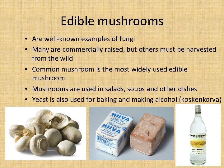Edible mushrooms • Are well-known examples of fungi • Many are commercially raised, but