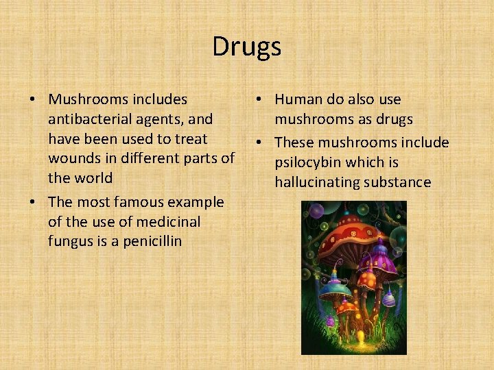 Drugs • Mushrooms includes antibacterial agents, and have been used to treat wounds in
