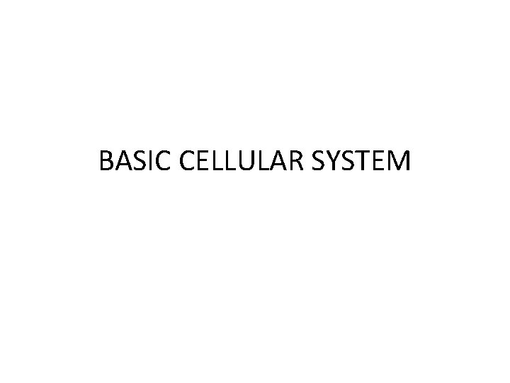 BASIC CELLULAR SYSTEM 