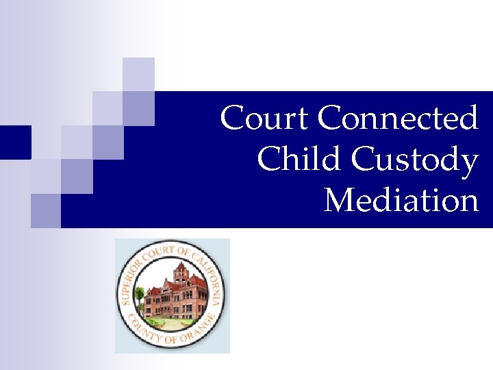 Court Connected Child Custody Mediation 