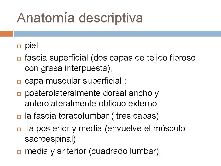 Anatomía descriptiva piel, fascia superficial (dos capas de tejido fibroso con grasa interpuesta), capa