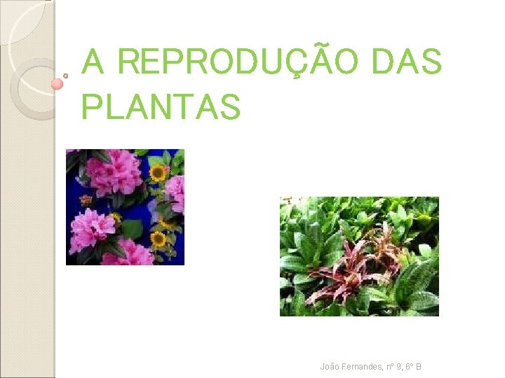 A REPRODUÇÃO DAS PLANTAS João Fernandes, nº 9, 6º B 