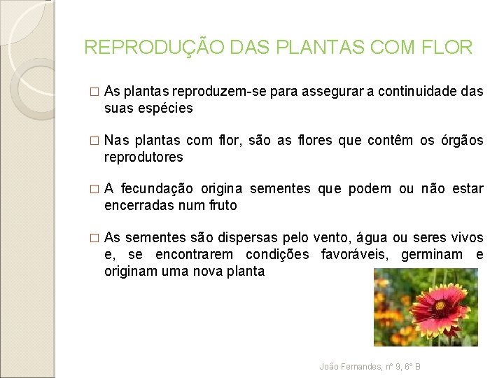 REPRODUÇÃO DAS PLANTAS COM FLOR � As plantas reproduzem-se para assegurar a continuidade das