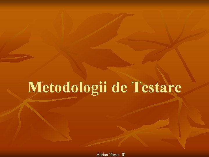 Metodologii de Testare Adrian Iftene - IP 