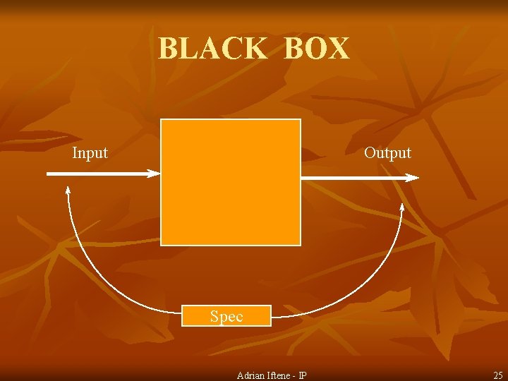 BLACK BOX Input Output Spec Adrian Iftene - IP 25 
