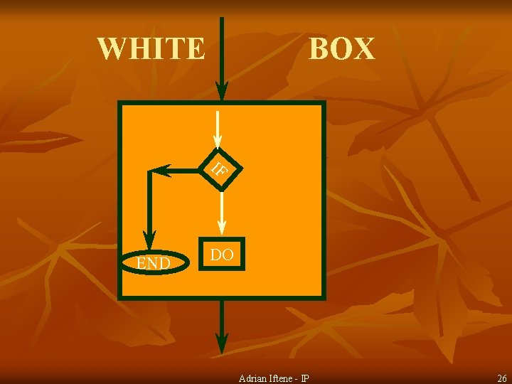 WHITE BOX IF END DO Adrian Iftene - IP 26 