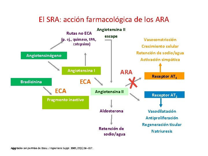 El SRA: acción farmacológica de los ARA Rutas no ECA (p. ej. , quimasa,