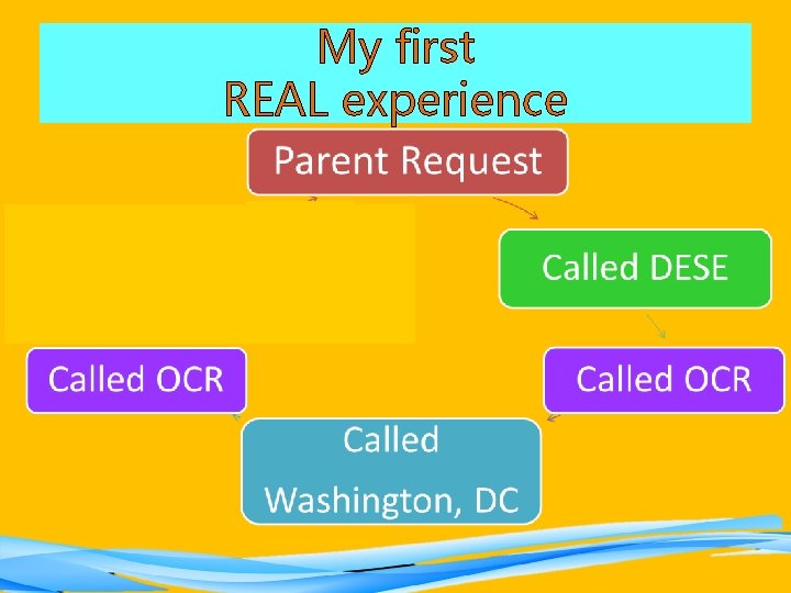 My first REAL experience 