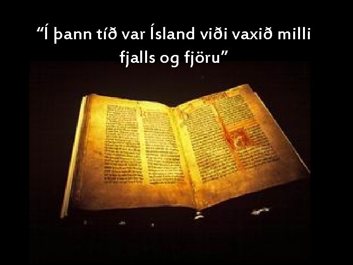 “Í þann tíð var Ísland viði vaxið milli fjalls og fjöru” 