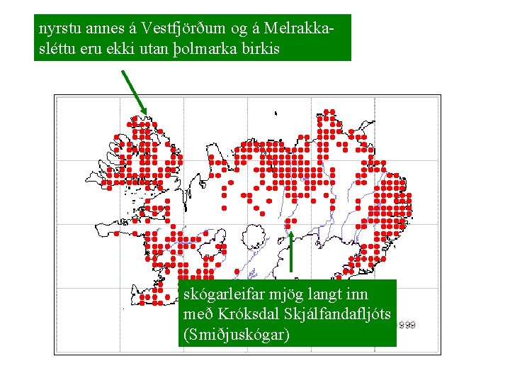 nyrstu annes á Vestfjörðum og á Melrakkaútbreiðslukort birkis (Betula pubescens) sléttu eru ekki utan