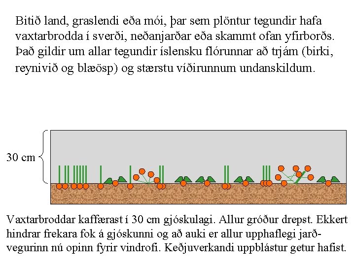 Bitið land, graslendi eða mói, þar sem plöntur tegundir hafa vaxtarbrodda í sverði, neðanjarðar