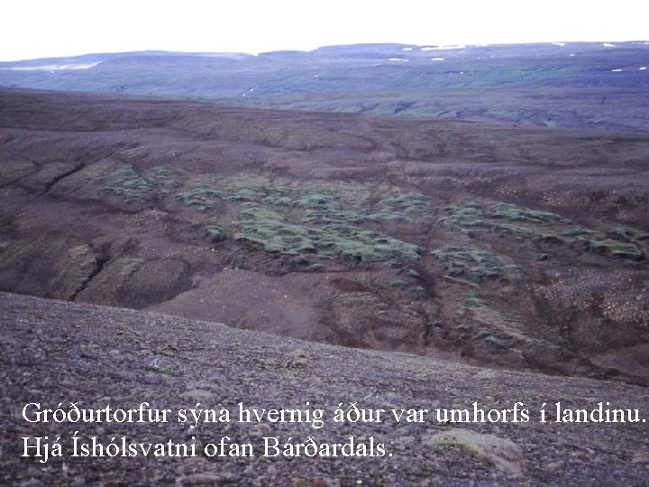 Gróðurtorfur sýna hvernig áður var umhorfs í landinu. Hjá Íshólsvatni ofan Bárðardals. 