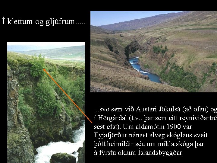 Í klettum og gljúfrum. . . . svo sem við Austari Jökulsá (að ofan)