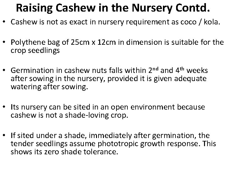 Raising Cashew in the Nursery Contd. • Cashew is not as exact in nursery