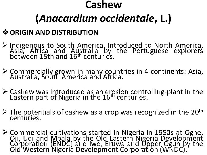 Cashew (Anacardium occidentale, L. ) v ORIGIN AND DISTRIBUTION Ø Indigenous to South America.