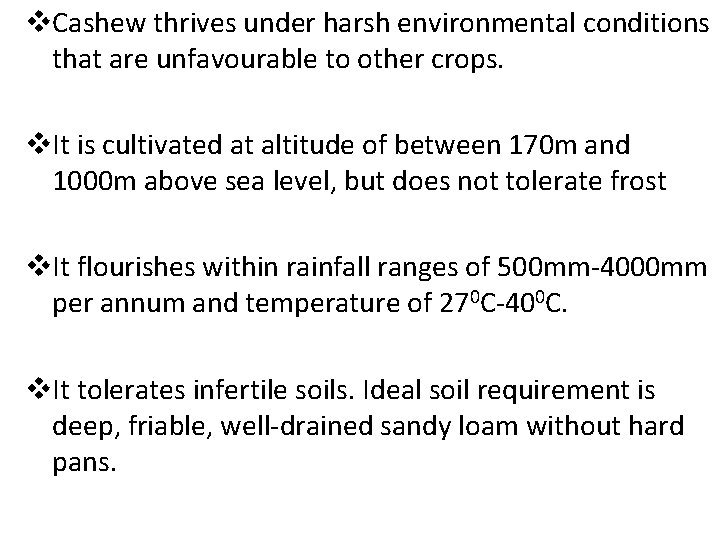 v. Cashew thrives under harsh environmental conditions that are unfavourable to other crops. v.