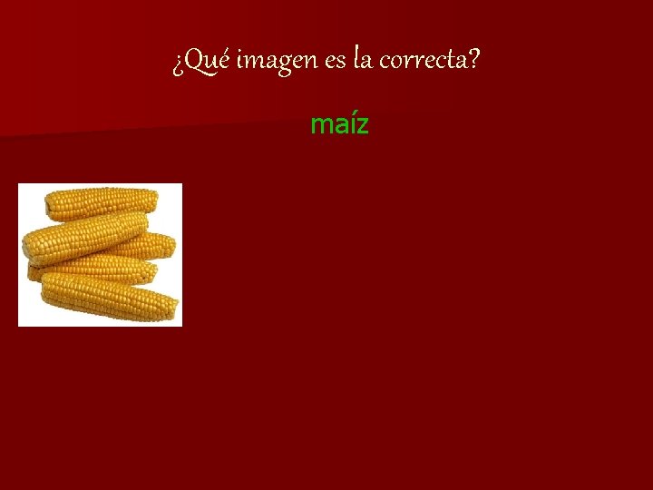 ¿Qué imagen es la correcta? maíz 