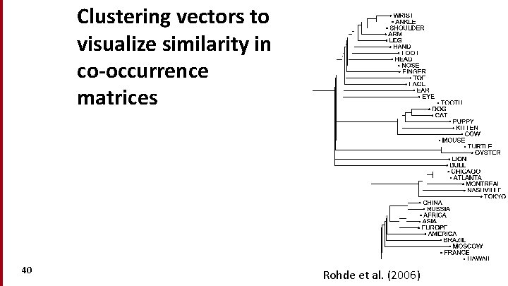 Clustering vectors to visualize similarity in co-occurrence matrices 40 Rohde et al. (2006) 