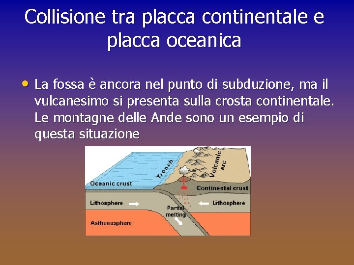 Collisione tra placca continentale e placca oceanica • La fossa è ancora nel punto