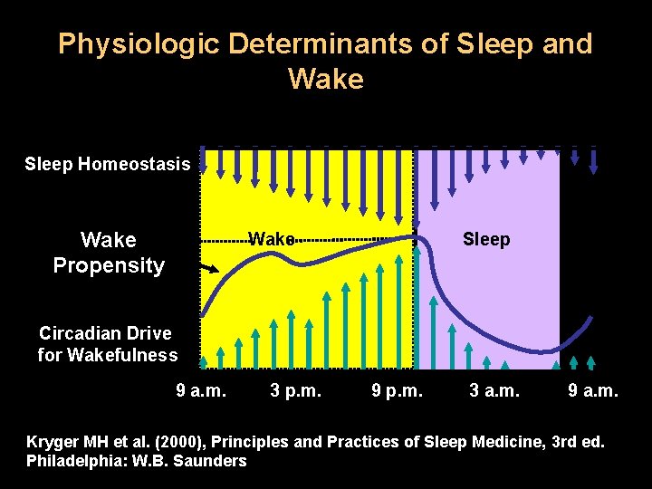 Physiologic Determinants of Sleep and Wake Sleep Homeostasis Wake Propensity Wake Sleep Circadian Drive Physiologic Determinants of Sleep and Wake Sleep Homeostasis Wake Propensity Wake Sleep Circadian Drive