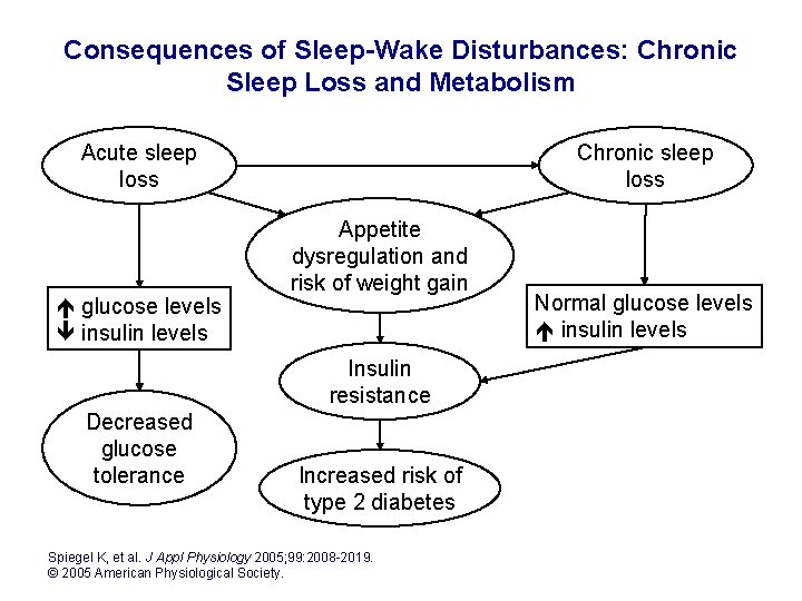 Consequences of Sleep-Wake Disturbances: Chronic Sleep Loss and Metabolism Acute sleep loss glucose levels Consequences of Sleep-Wake Disturbances: Chronic Sleep Loss and Metabolism Acute sleep loss glucose levels