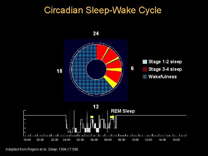 Circadian Sleep-Wake Cycle 24 24 REM sleep Stage 1 -2 sleep 6 6 18 Circadian Sleep-Wake Cycle 24 24 REM sleep Stage 1 -2 sleep 6 6 18
