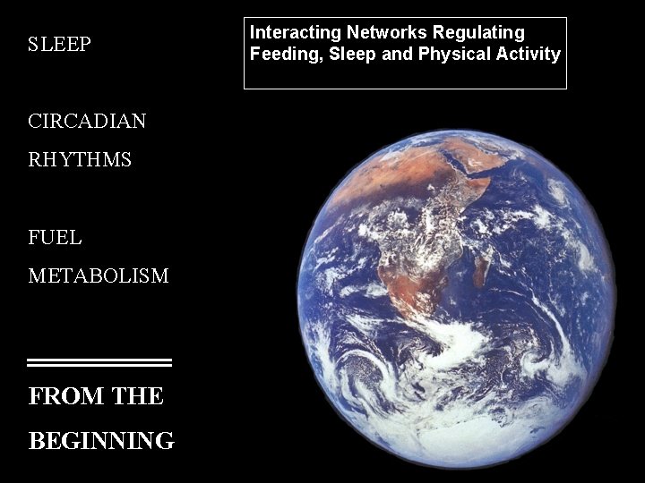 SLEEP CIRCADIAN RHYTHMS FUEL METABOLISM FROM THE BEGINNING Interacting Networks Regulating Feeding, Sleep and SLEEP CIRCADIAN RHYTHMS FUEL METABOLISM FROM THE BEGINNING Interacting Networks Regulating Feeding, Sleep and
