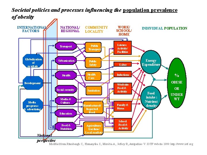 Societal policies and processes influencing the population prevalence of obesity INTERNATIONAL FACTORS NATIONAL/ REGIONAL