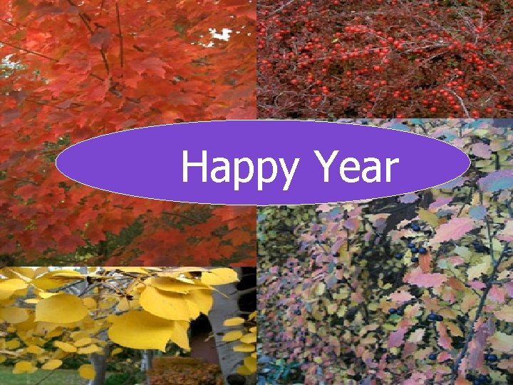Happy Year Happy Year