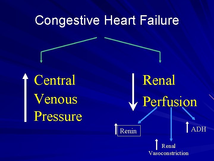 Congestive Heart Failure Central Venous Pressure Renal Perfusion ADH Renin Renal Vasoconstriction Congestive Heart Failure Central Venous Pressure Renal Perfusion ADH Renin Renal Vasoconstriction