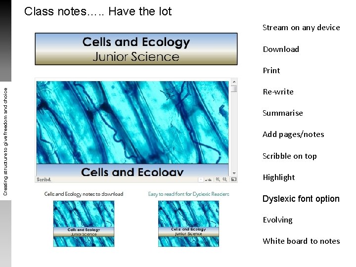 Class notes…. . Have the lot Stream on any device Download Creating structure to Class notes…. . Have the lot Stream on any device Download Creating structure to