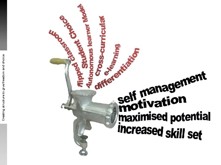 Creating structure to give freedom and choice Creating structure to give freedom and choice